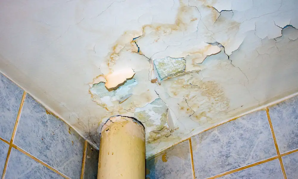 Bathroom Water Leakage