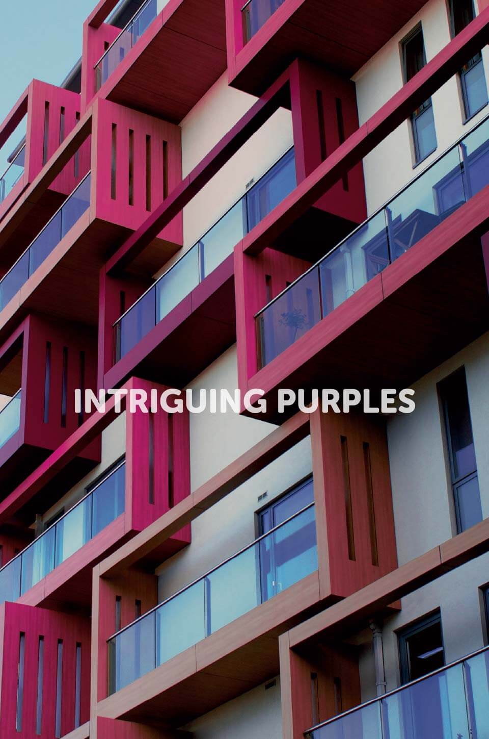 Intrguting Purples